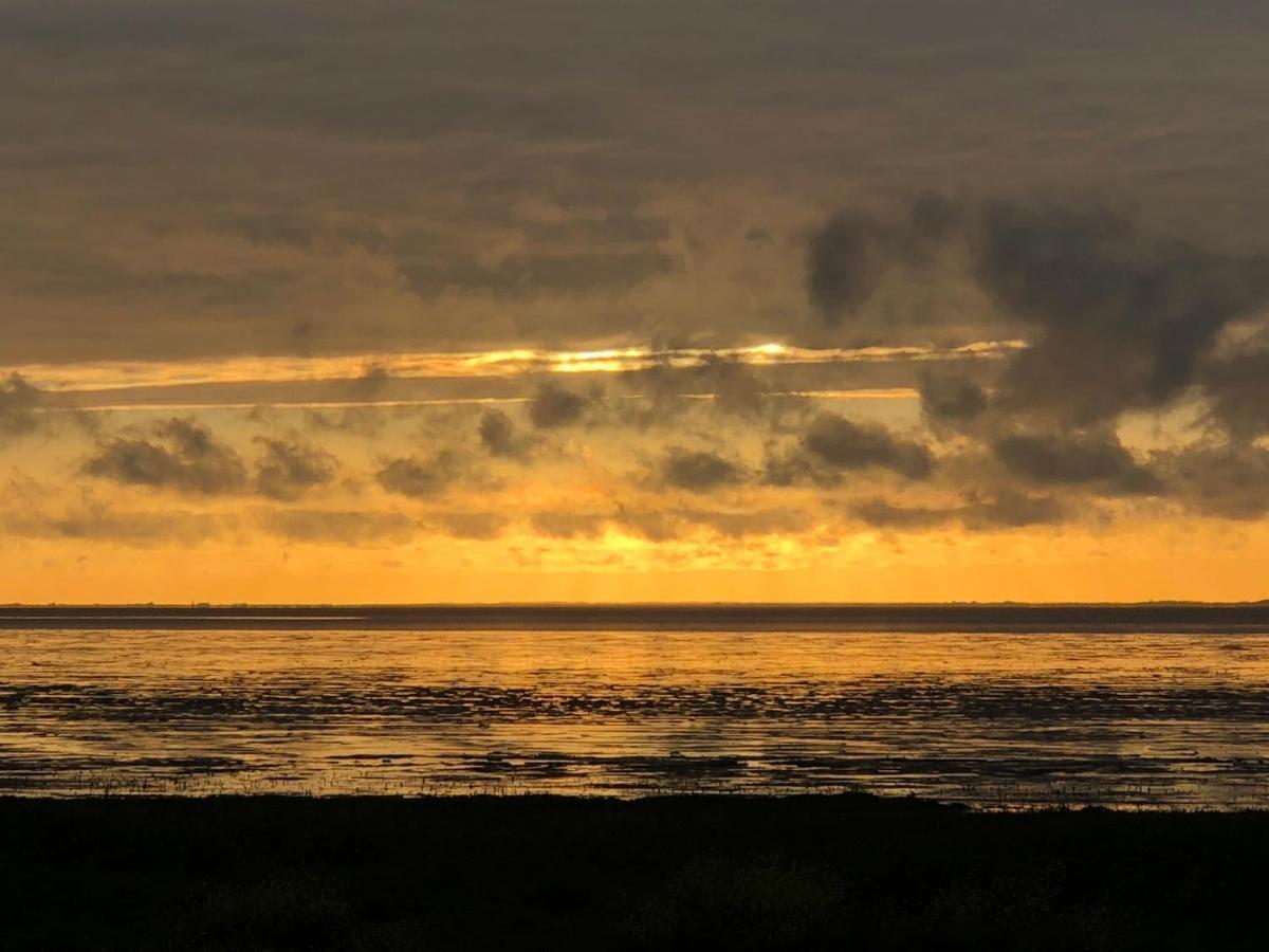 Het Huis Van De Wadden 덴오에버 외부 사진