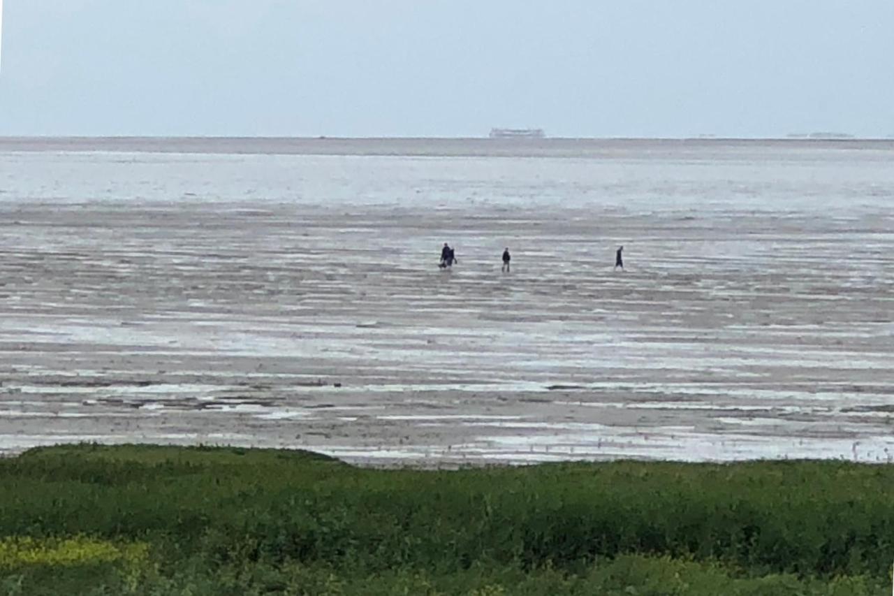 Het Huis Van De Wadden 덴오에버 외부 사진